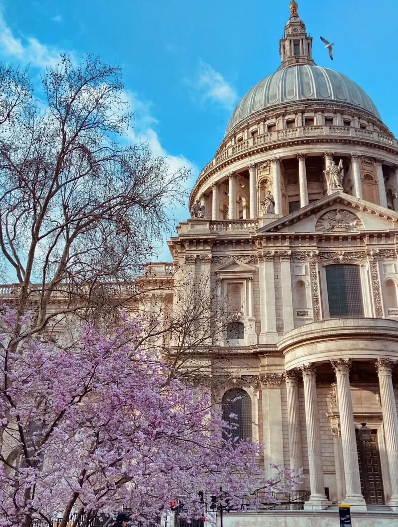 庆南健康科学大学